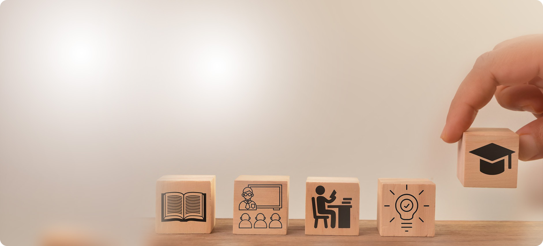 Training & Development